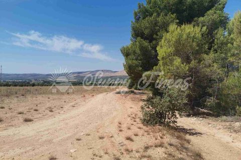 Terra a Biar, Alicante, Biar - € 125.000 | Ref: SF0426 - foto 8